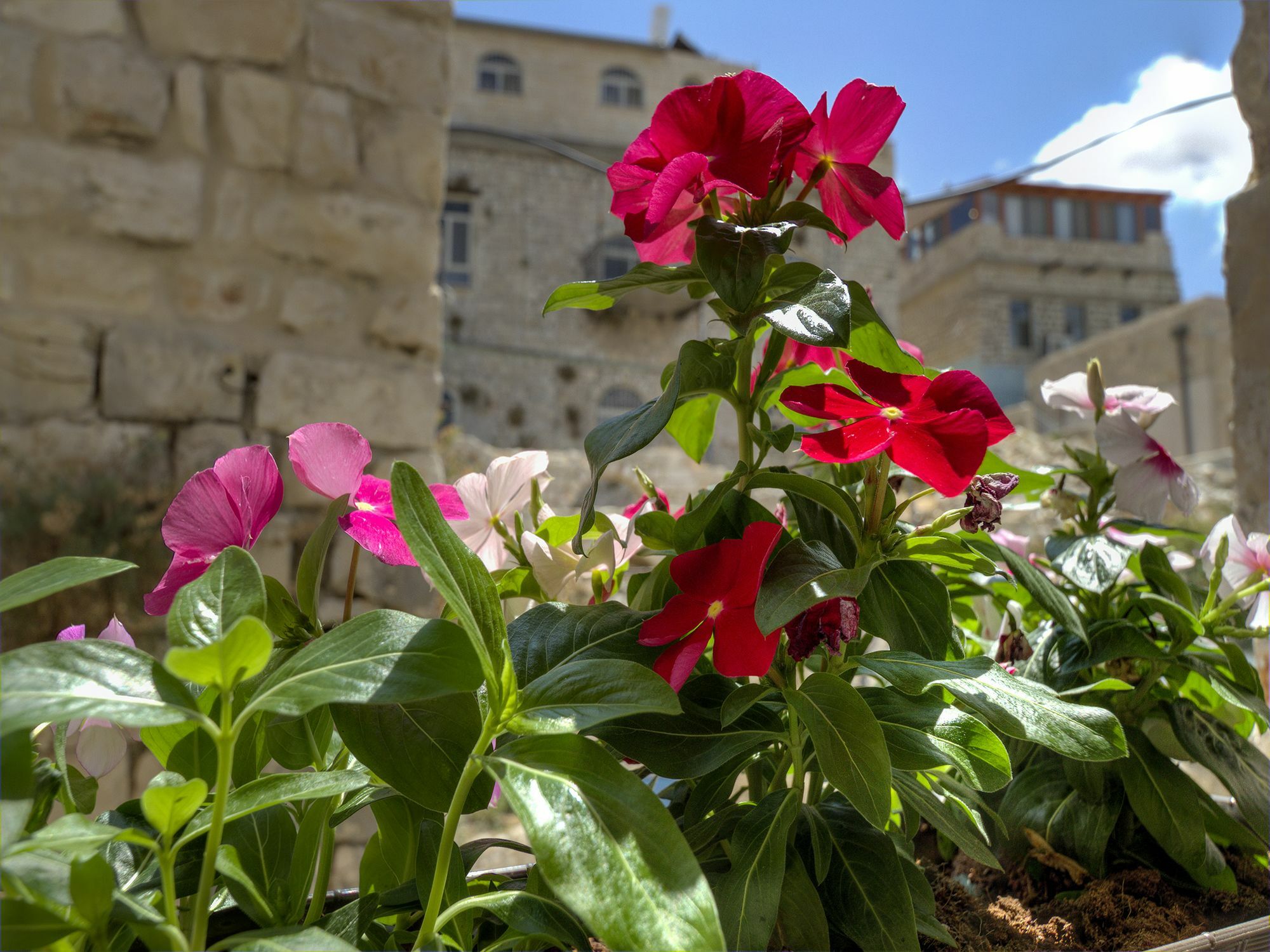 Nofesh Baatika Villa Safed Luaran gambar